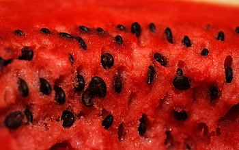 Fruits, Food, Background, Watermelons HD wallpaper