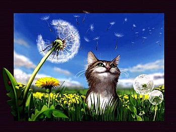 Cute Cat, cute, Cat, Dandelion, Art HD wallpaper