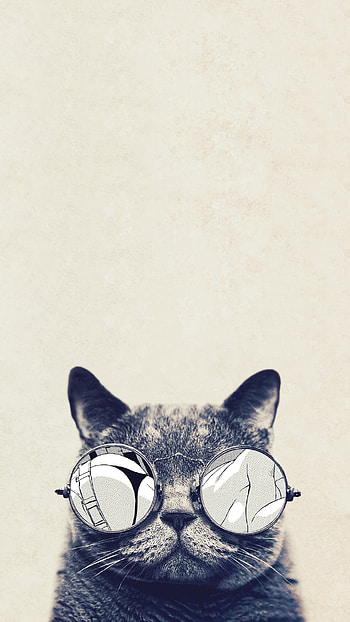 Click here to pixel Cool Cat Glasses Galaxy Note HD phone wallpaper