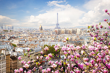Eiffel Tower France Flowers Beautiful , eiffel-tower, france, paris, world HD wallpaper
