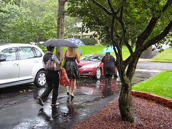 in the rain, weather, cloudy, people, rain HD wallpaper