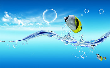 Jumping Fish, sea, summer, fish, animals HD wallpaper
