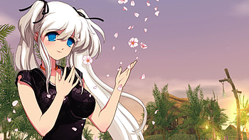 Mabinogi details, Launchbox games database, Gaming, Information HD wallpaper