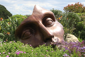 Bronze face sculpture nestled in a vibrant garden full of diverse flowers in Cape Town. HD wallpaper