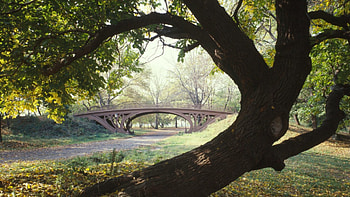 bridge in nyc central park, bridge, light pole, tree, path HD wallpaper