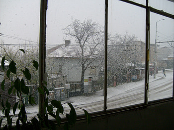 Snowy day, window, graphy, snow, bulgaria, trees, nature, , vratza HD wallpaper