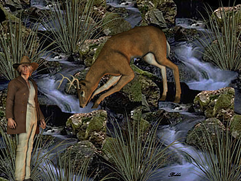 Deer drinking from a stream!!, grass, deer, man, stream HD wallpaper