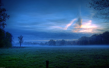 blue landscape, blue, color, landscape, clouds, trees, sky, grass, forest HD wallpaper