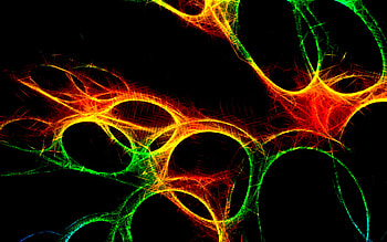 monitor, colorful, color, trippy, flame, fractal, crazy HD wallpaper