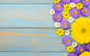 :), summer, purple, blue, wood, yellow, texture, card, vara HD wallpaper
