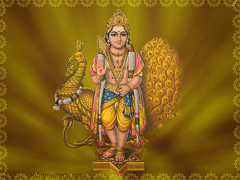 High Quality Lord Murugan - Subramanya Swamy God HD wallpaper