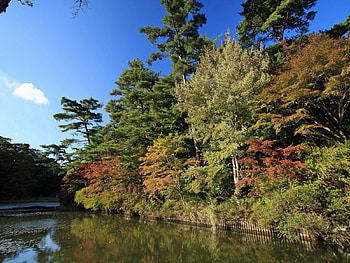 Nature, Rivers, Trees, Autumn, Turn HD wallpaper
