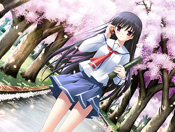 Anime cute, cherry tree, uniforms, long hair, cutie HD wallpaper