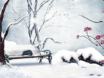 ๑๑Romantic Winter๑๑, winter, romantic, snow, tree HD wallpaper