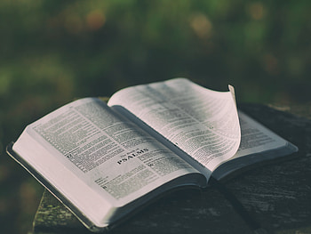 Miscellanea, Miscellaneous, Book, Reading, Inspiration HD wallpaper