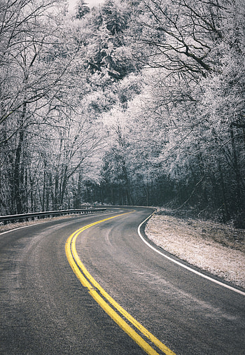 Nature, Trees, Road, Turn, Frost, Hoarfrost HD phone wallpaper