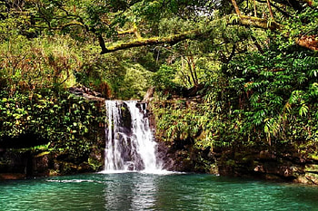 Little Ponds Waterfall, falls, trees, water, pond HD wallpaper