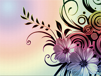 Flowers, summer, pink, skin, flower, texture, luminos HD wallpaper