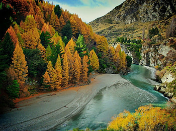 autumn on the river, river, landscape, new zealand, autumn, nature, forest HD wallpaper