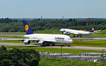 Waiting for takeoff, trees, plane, takeoff, boeing HD wallpaper