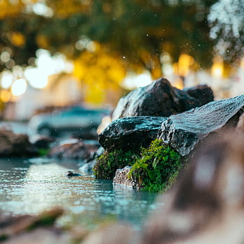 Close-up of moss-covered rocks by water, with blurred trees in the background, creating a tranquil scene. HD phone wallpaper