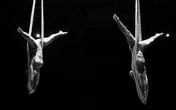 Circus, Aerial Silks HD wallpaper