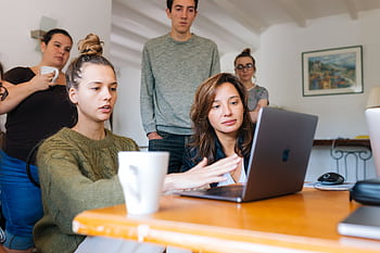 A diverse group of adults collaborating in a cozy indoor office space. HD wallpaper