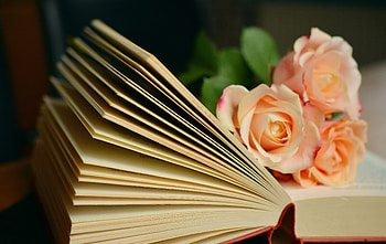 Flowers, Roses, Bouquet, Book, Reading HD wallpaper