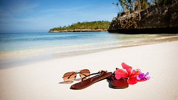 Beach, Vacation, Flower, Sand HD wallpaper