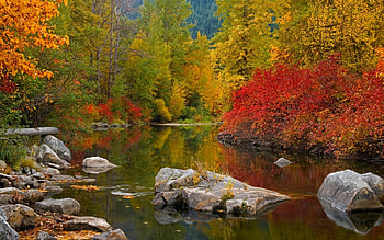 Landscape, Rivers, Stones, Autumn HD wallpaper