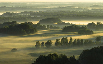 Mist over Hills, mist, fields, Latvia, hills HD wallpaper