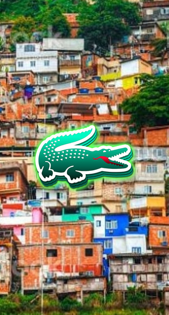 Lacoste Favela HD phone wallpaper
