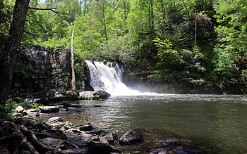 Abrams Falls, Great Smoky Mountains, Tennessee, cascade, rocks, river, trees, usa, stones HD wallpaper
