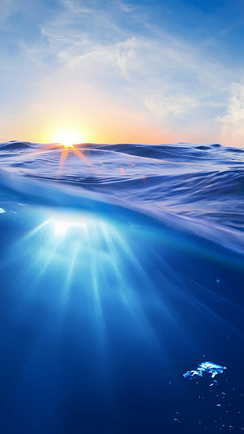 Underwater oasis, Sunlit waters, Tranquil seas, Nature's tranquility HD phone wallpaper