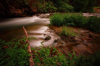 Come Together, greenery, river, nature, wood HD wallpaper