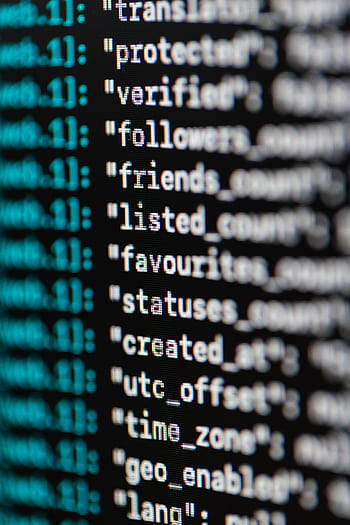 Extreme close-up of computer code displaying various programming terms and elements. HD phone wallpaper