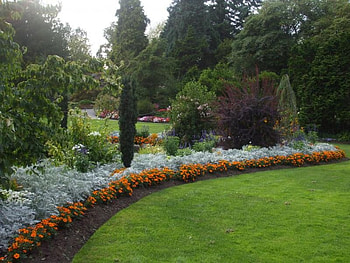 Panoramic and serene garden, flowers, plants, manicred grass HD wallpaper