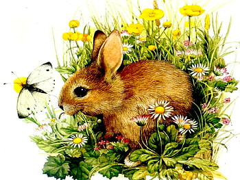 CUTE BUNNY, bunny, painting, butterfly, garden, flowers, rabbit HD wallpaper