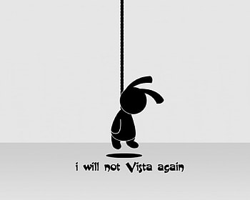NO VISTA , no, vista, again HD wallpaper