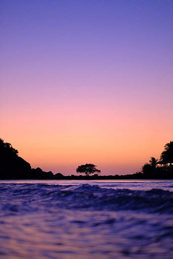 Twilight, Waves, Shore, Bank, Dark, Silhouette, Wood, Tree, Dusk HD phone wallpaper