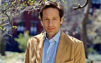 David Duchovny, Movies, , Background HD wallpaper