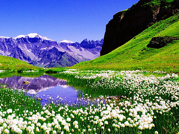 Spring HD wallpaper
