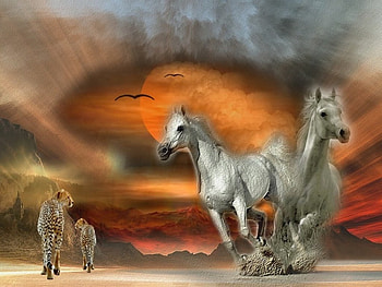 Horses in the storm, white, fleeing, leopards, Dark clouds, wild, storm, Horses HD wallpaper