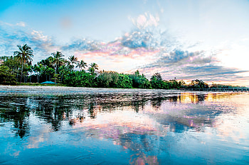 Nature, Sea, Beach, Palms, Reflection, Coast HD wallpaper