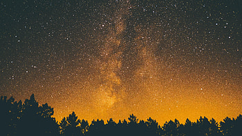Trees, Night, Dark, Silhouettes, Starry Sky HD wallpaper