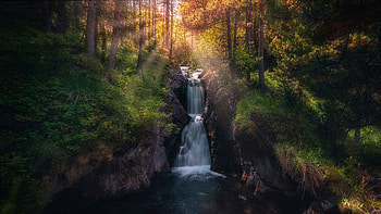 Landscape, View, Waterfall, Stream, Rocks, Stones, Green, Trees, Bushes, Plants, River, Forest, Sunlight, Nature, Scenery, Background Nature HD wallpaper