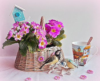 basket, soft, pink, flowers HD wallpaper
