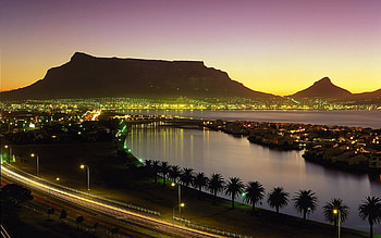 Cities, Night, Palms, Lights, Shore, Bank, Cape Town, South Africa HD wallpaper