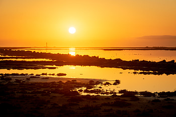 Nature, Rivers, Sunset, Sun, Twilight, Shore, Bank, Shine, Light, Dusk HD wallpaper