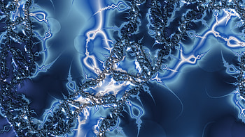 Trippy Psychedelic Fractal, trippy, psychedelic, aesthetic, Abstract, fractal HD wallpaper